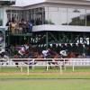 The horse race in front of the Grand Stand @ the Garrison Barbados