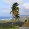 Eastcoast of Barbados